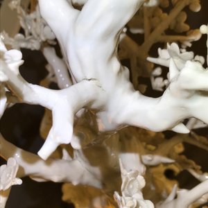 Un groupe en porcelaine blanc de Chine figurant deux femmes autour d'un arbre, 18ème — photo 22