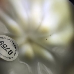 Un lave-pinceaux en forme de feuille de lotus en porcelaine blanc de Chine de Dehua sur socle, Kangxi — photo 11