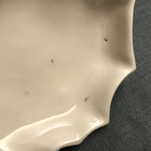 Un lave-pinceaux en porcelaine blanc de Chine de Dehua en forme de feuille, Kangxi — photo 8