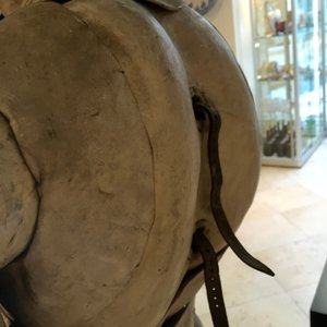 Un modèle anatomique de sculpteur, 19ème — photo 13