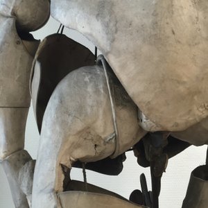 Un modèle anatomique de sculpteur, 19ème — photo 8