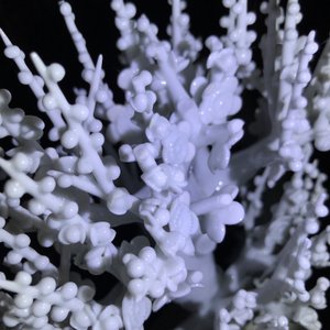 Un modèle d'un arbre en porcelaine blanc de Chine, Kangxi — photo 17
