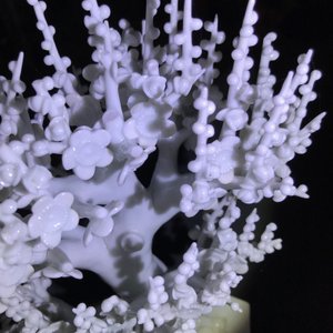 Un modèle d'un arbre en porcelaine blanc de Chine, Kangxi — photo 18