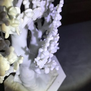 Un modèle d'un arbre en porcelaine blanc de Chine, Kangxi — photo 22