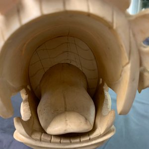 Un modèle d'un bateau dragon en ivoire sculpté sur socle en bois, Chine, 19ème — photo 33