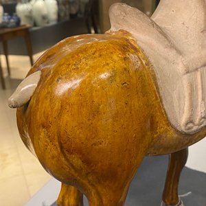 Un modèle d'un cheval en terre cuite à glaçure ambre et beige, Chine, Tang — photo 20