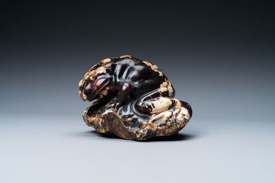Un modèle d'un crapaud en ambre sculpté, Chine, 19/20ème