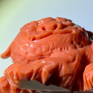 Un modèle d'un lion bouddhiste en corail rouge sculpté, Chine, 19/20ème — photo 13