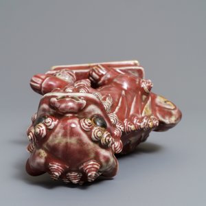Un modèle d'un lion bouddhiste en porcelaine de Chine monochrome sang de boeuf, 19ème — photo 6