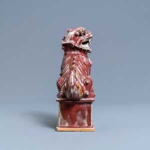 Un modèle d'un lion bouddhiste en porcelaine de Chine sang de boeuf monochrome, 19ème — photo 5