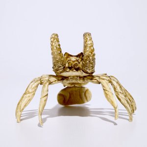Un okimono en ivoire figurant un homard, Japon, Meiji, 19ème — photo 4