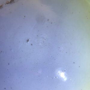 Un plat en porcelaine de Chine famille verte et une assiette monochrome verte, Kangxi — photo 14