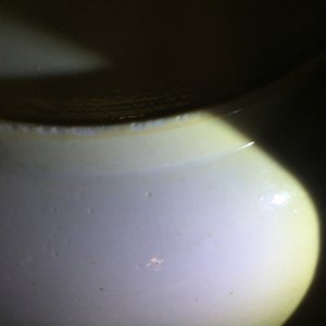 Un plat paysage en porcelaine de Chine famille verte sur fond café au lait, Kangxi — photo 7