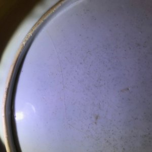 Un plat, un bol et une boîte à thé en porcelaine de Chine 'lait et sang' et bleu et blanc, Kangxi — photo 17