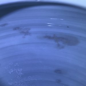 Un pot à gingembre en porcelaine de Chine bleu et blanc, Kangxi — photo 19