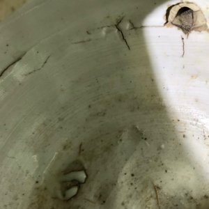 Un pot à vin et son couvercle en porcelaine de Chine bleu et blanc de type kraak, Wanli — photo 15