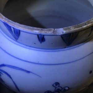 Un pot en porcelaine de Chine bleu et blanc à décor de fruits et insectes, époque Transition — photo 7