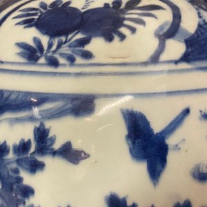 Un pot en porcelaine de Chine en bleu et blanc à décor d'oiseaux dans un paysage, Wanli — photo 10
