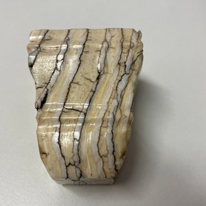 Un socle en dent de mammouth poli, 17/18ème — photo 14