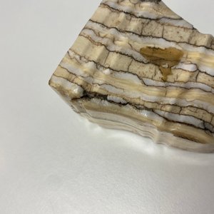Un socle en dent de mammouth poli, 17/18ème — photo 9