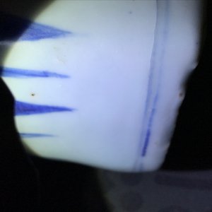 Un vase couvert en porcelaine de Chine bleu et blanc, époque Transition — photo 14