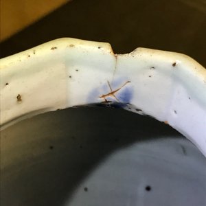 Un vase de forme balustre en porcelaine de Chine bleu et blanc, époque Transition — photo 12