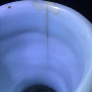 Un vase de forme bouteille en porcelaine de Chine bleu et blanc, époque Transition — photo 8