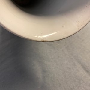 Un vase de forme bouteille en porcelaine de Chine bleu poudré et un en bleu et blanc, Kangxi — photo 15