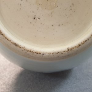 Un vase de forme bouteille en porcelaine de Chine en bleu et blanc, 19/20ème — photo 23