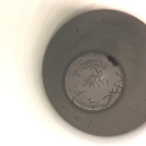 Un vase de forme hu aux dragons en porcelaine de Chine bleu et blanc, 19ème — photo 24