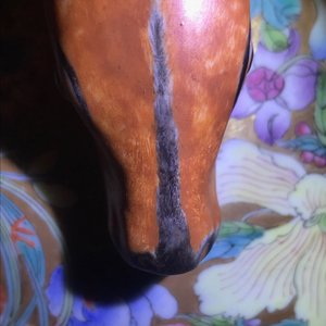 Un vase de forme hu en porcelaine de Chine famille rose, marque de Qianlong, 20ème — photo 8