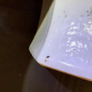 Un vase de forme octagonale en porcelaine de Chine qianjiang cai, daté 1893 — photo 15