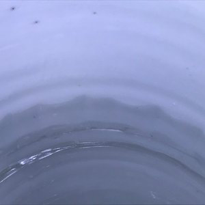 Un vase de forme rouleau en porcelaine de Chine bleu et blanc à décor figuratif, époque Transition — photo 26