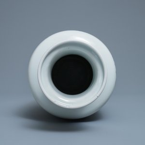 Un vase de forme rouleau en porcelaine de Chine en bleu et blanc, Kangxi — photo 5