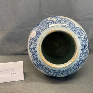Un vase en faïence de Delft en bleu et blanc à décor chinoiserie avec un éléphant, fin du 17ème — photo 16