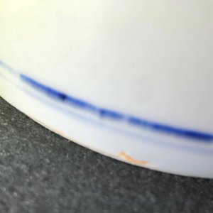 Un vase en porcelaine de Chine bleu et blanc à décor floral, époque Transition — photo 16