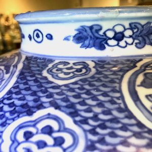 Un vase en porcelaine de Chine bleu et blanc aux lions bouddhistes et pivoines, Ming, Wanli — photo 19