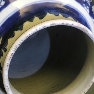 Un vase en porcelaine de Chine bleu et blanc aux rinceaux de pivoines, Kangxi — photo 9