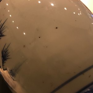 Un vase en porcelaine de Chine famille rose bleu, blanc et rouge de fer, 19/20ème — photo 13