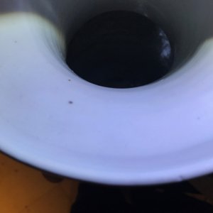 Un vase en porcelaine de Chine famille verte, 19ème — photo 10