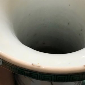 Un vase en porcelaine de Chine famille verte à décor de phénix, 19ème — photo 7