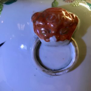 Un vase en porcelaine de Chine qianjiang cai à décor de canards mandarins, 19/20ème — photo 13