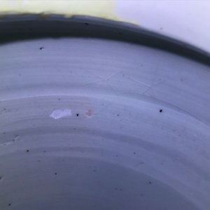 Un vase en porcelaine de Chine wucai à décor de garçons jouants, époque Transition — photo 8