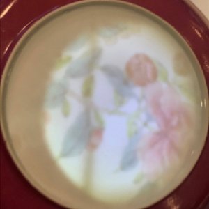 Une assiette en porcelaine de Chine famille rose coquille d'oeuf au dos rouge rubis, Yongzheng — photo 8