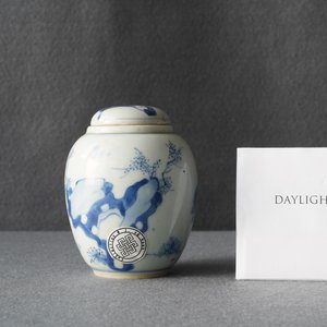 Une boîte à thé couverte en porcelaine de Chine en bleu et blanc, Kangxi — photo 8