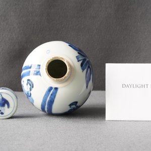 Une boîte à thé couverte en porcelaine de Chine en bleu et blanc, Kangxi — photo 9