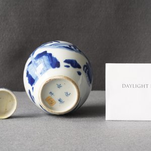 Une boîte à thé couverte en porcelaine de Chine en bleu et blanc, Kangxi — photo 10