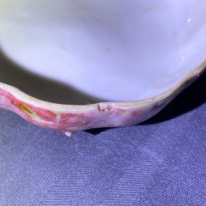 Une boîte couverte en forme de citrouille en porcelaine de Chine à émail langyao, 18/19ème — photo 8