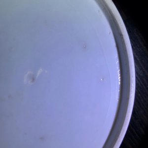Une boîte cylindrique à trois compartiments en porcelaine de Chine bleu et blanc, 19ème — photo 18