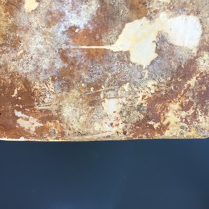 Une bouteille de forme carrée en majolique italienne, Urbino, 16ème — photo 12